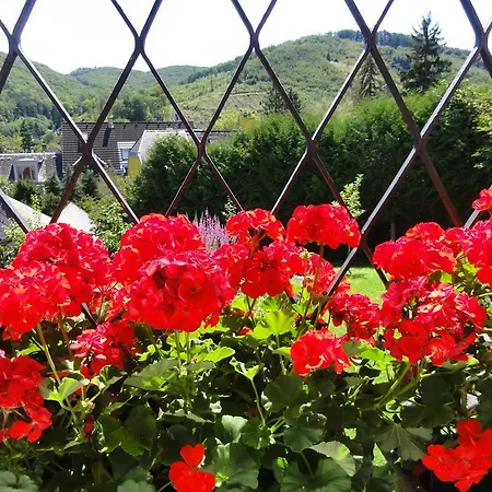 Feuchtl * Purkersdorf
