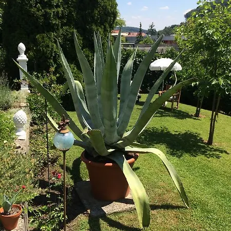 Feuchtl * Purkersdorf
