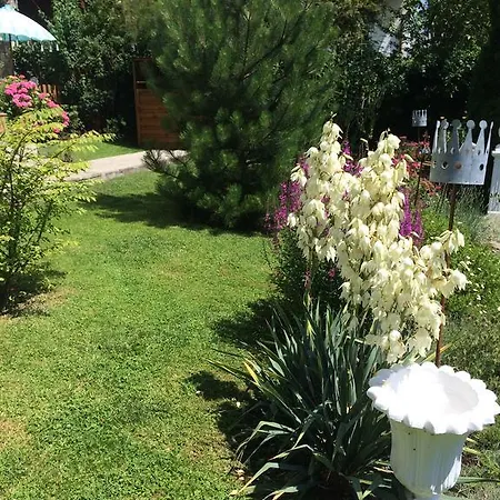 Feuchtl Apartment Purkersdorf